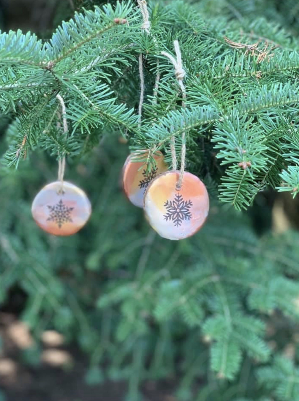 Event image Make and Take Holiday Ornaments